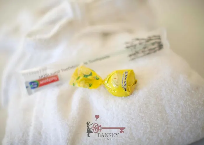 Sunny Suite Nordic - Lugano City -By Easylife Swiss